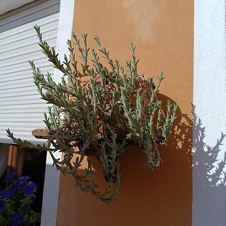 B&B Beranu Villasimius Exterior photo